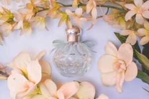 Cruelty -free perfume brands