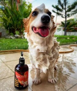 Products for pets 