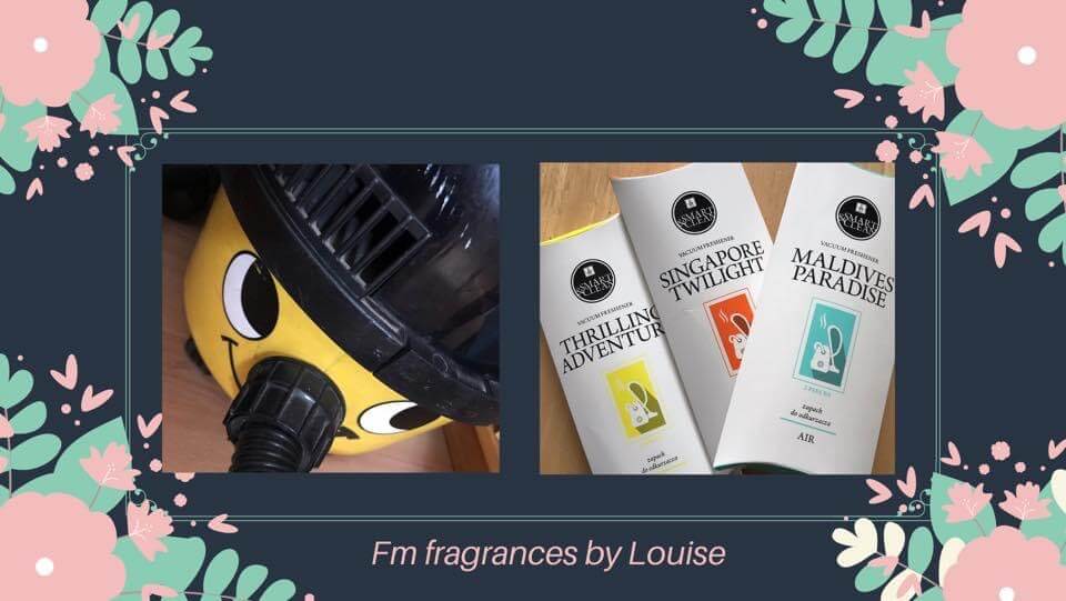 Vacuum fresheners by FM World- a review